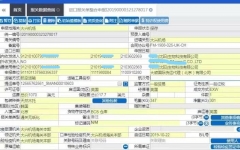 大興國際機場第一票空運進口貨物報關札記